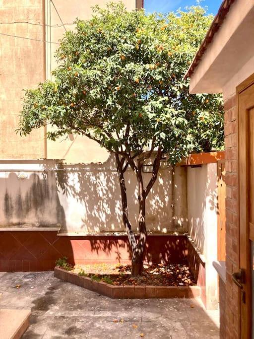 Villa Orlando Mondello Palermo Zewnętrze zdjęcie